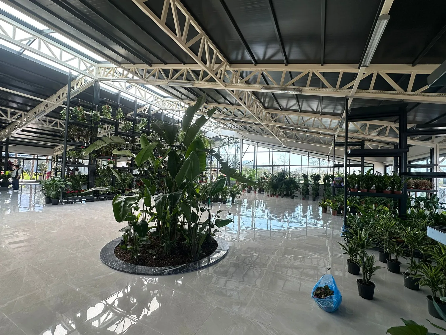 Dekoratif saksılar ve canlı bitkilerle hazırlanmış showroom köşesi
