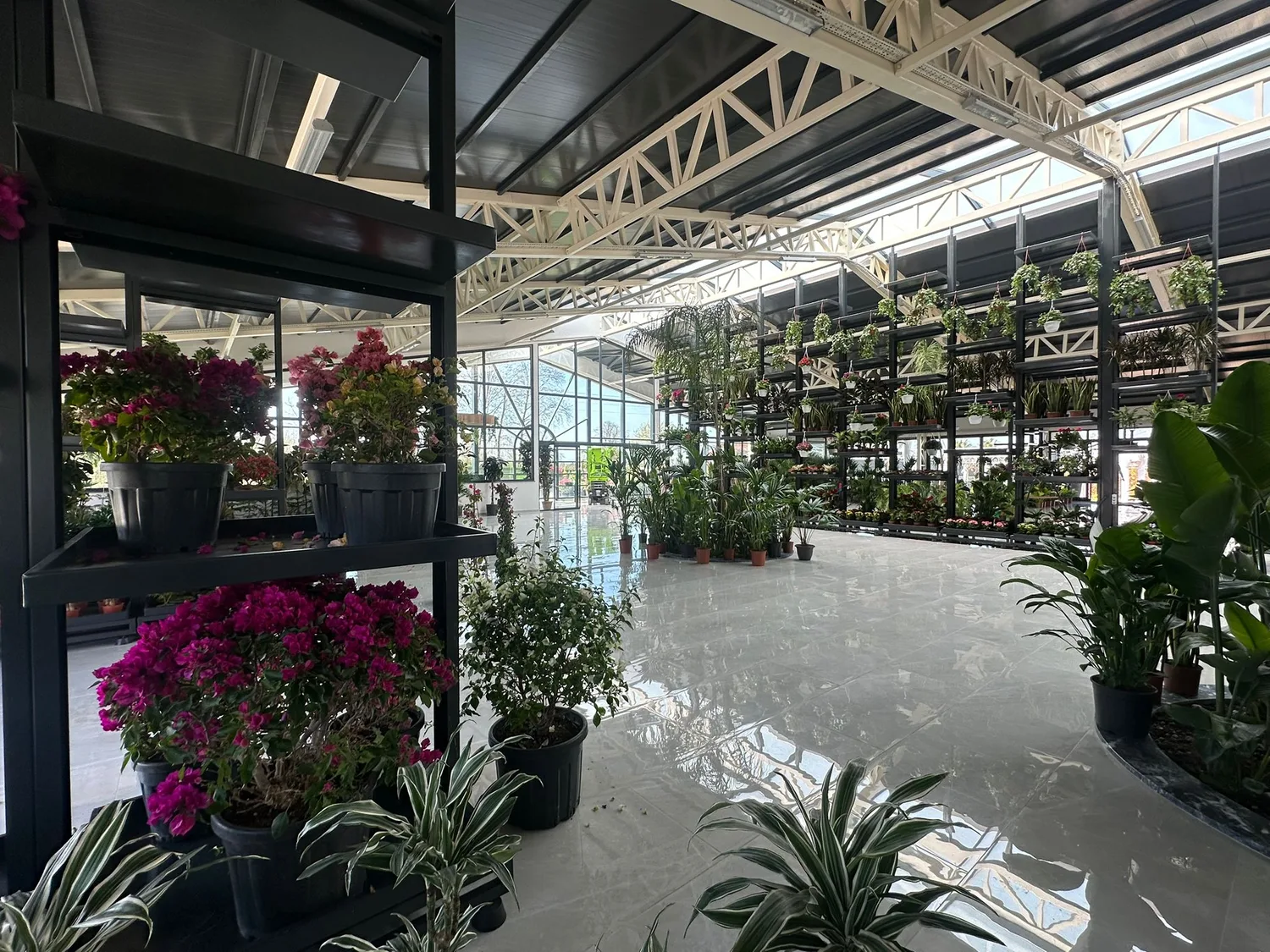 Mekândan teslim çiçek ve bitki siparişi için showroom hazırlık alanı